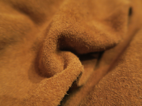 e0169535_01062823.jpg