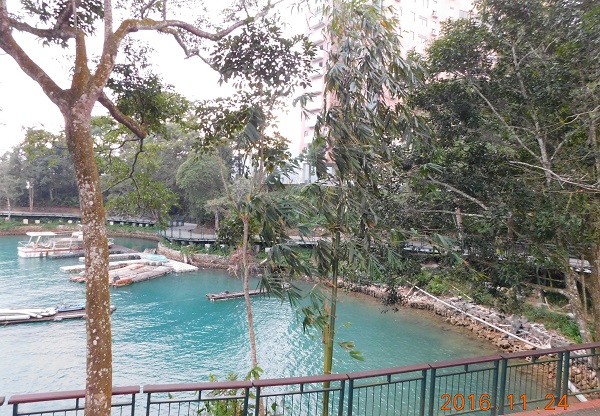 f0042737_12342359.jpg