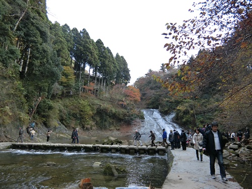 b0120541_0152519.jpg