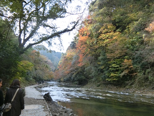 b0120541_222729100.jpg