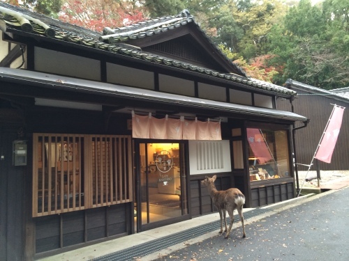 b0336351_04131110.jpg