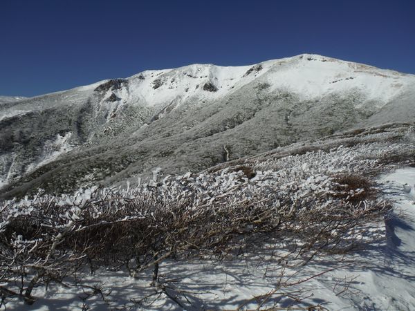 c0294658_20554670.jpg