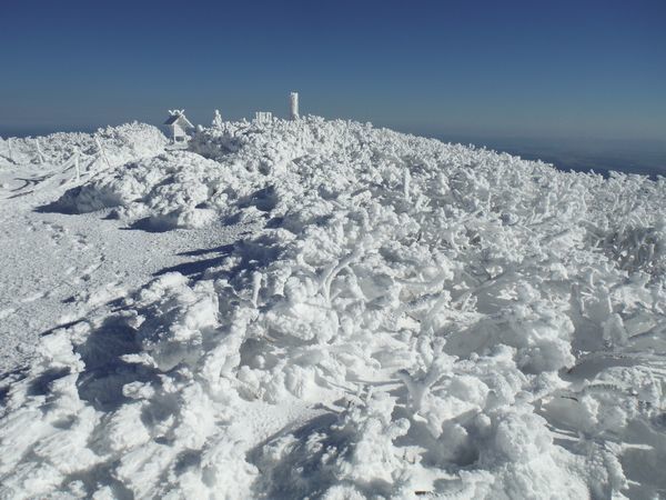 c0294658_20560270.jpg
