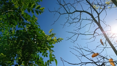 b0346961_16050594.jpg