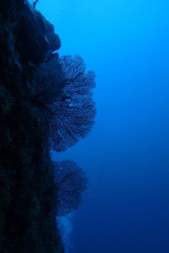 f0185161_23342540.jpg