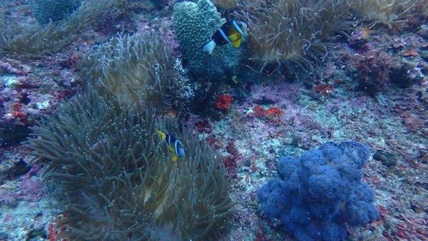 f0185161_23441269.jpg