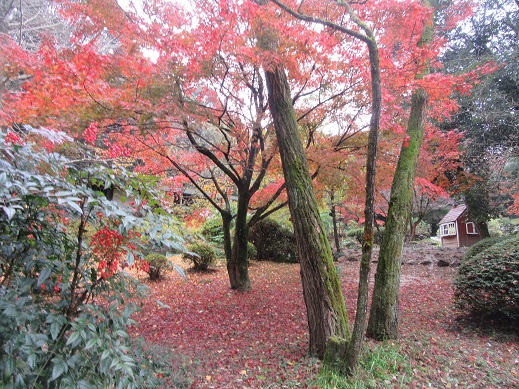 f0113862_1110532.jpg