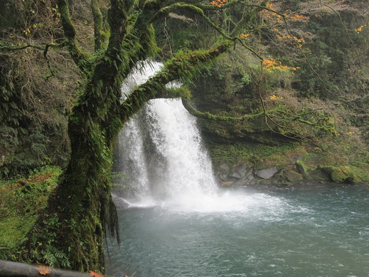 f0113862_11175912.jpg