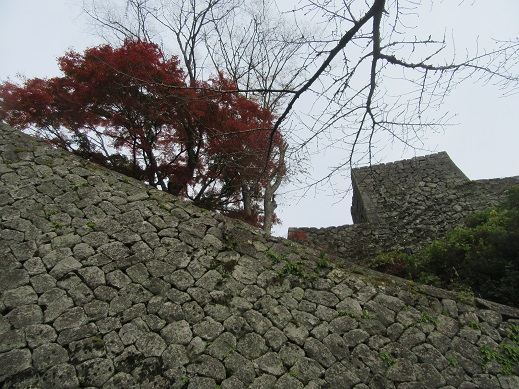f0113862_12141125.jpg