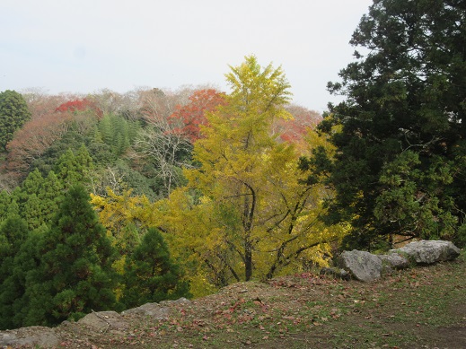 f0113862_1264589.jpg