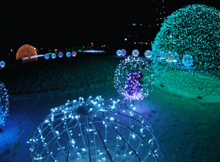 b0186563_09224246.gif
