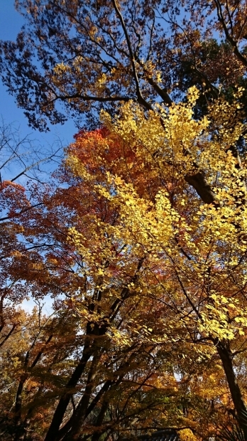 f0222164_14310869.jpg