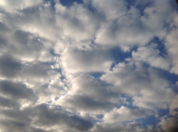 c0286574_882158.jpg