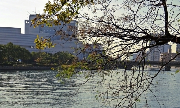 e0264374_21263138.jpg