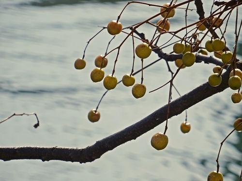 e0264374_21263919.jpg