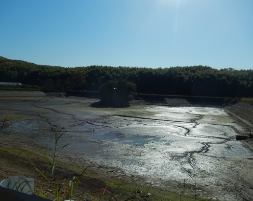 c0144185_15135178.jpg