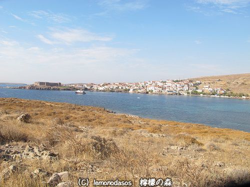 c0010496_22051147.jpg