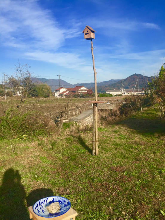 d0169599_09080580.jpg