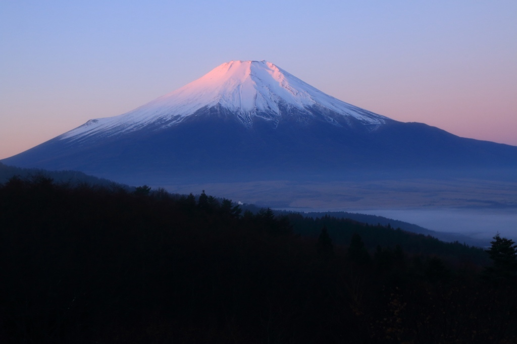 a0188405_15130266.jpg