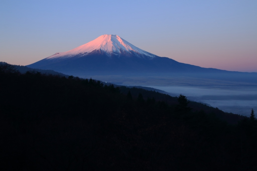 a0188405_15131386.jpg