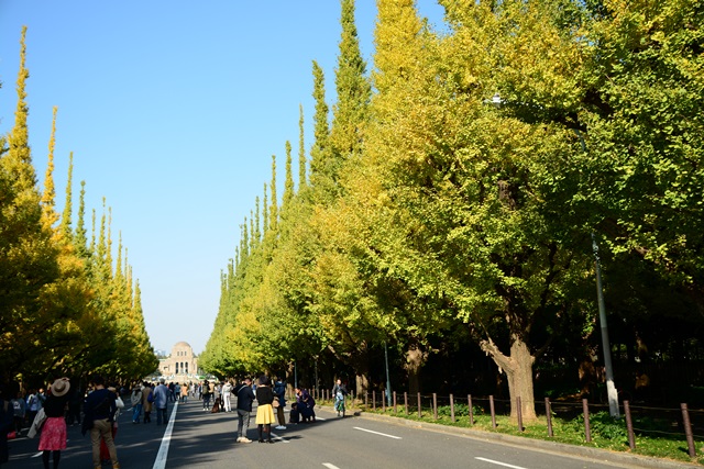 f0373905_10451382.jpg