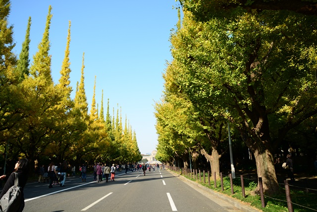 f0373905_10461073.jpg