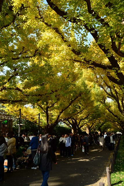 f0373905_10471769.jpg