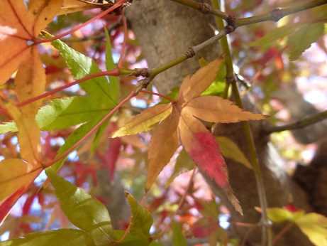 b0125808_2255986.jpg