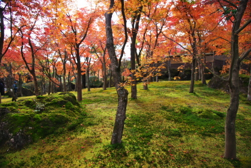a0263109_12215673.jpg