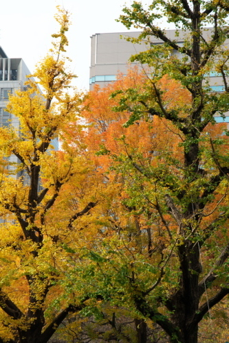 a0263109_12485276.jpg