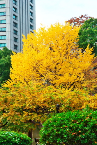 a0263109_12534522.jpg