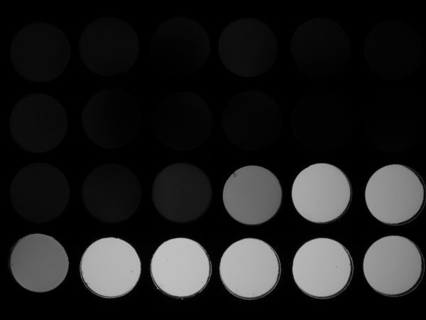c0164709_17364318.jpg