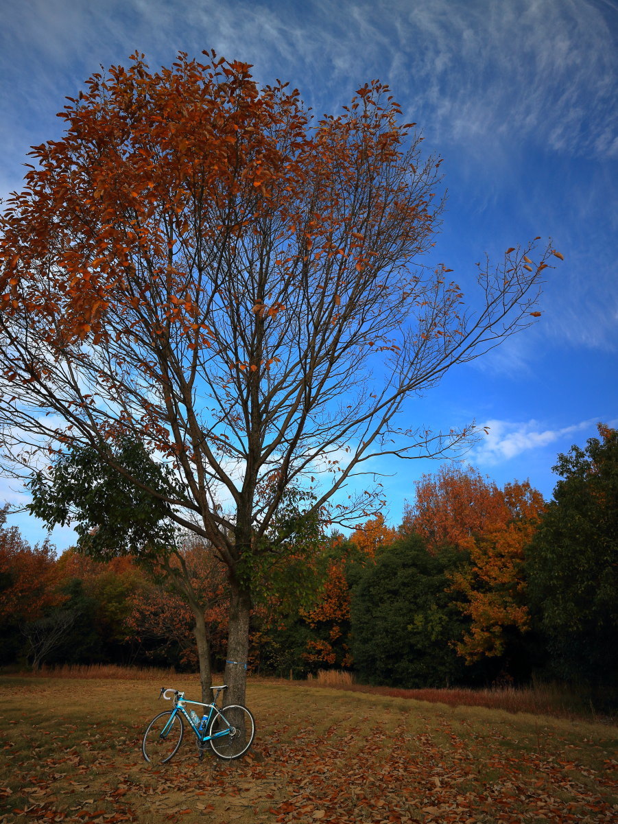 e0009009_21023857.jpg