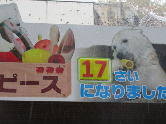 f0231709_23244948.jpg