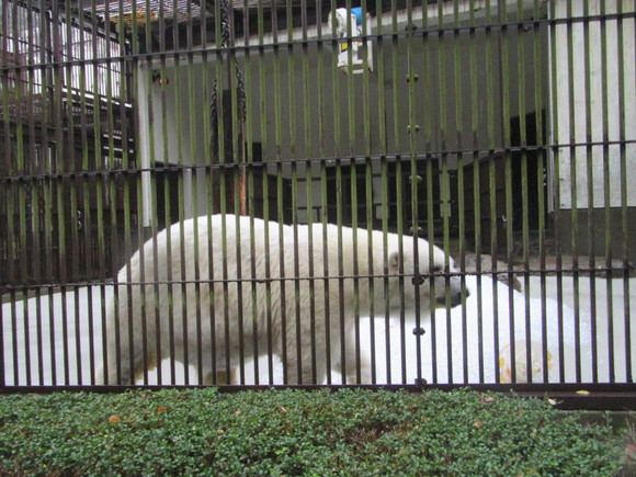 f0231709_23255675.jpg