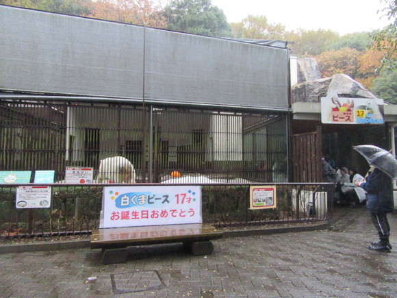 f0231709_2346015.jpg