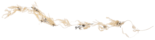 f0204110_1015578.png