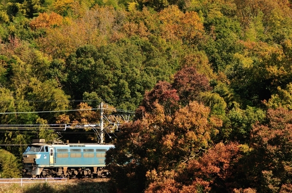 e0005714_19534139.jpg