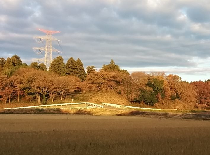 d0197317_17184182.jpg