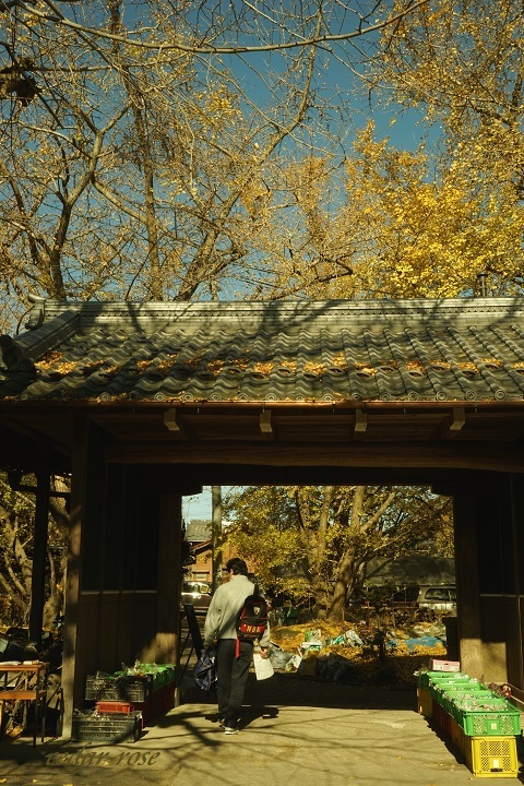 e0339317_18232533.jpg