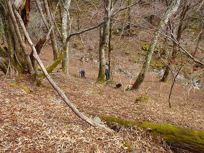 f0193521_5135098.jpg