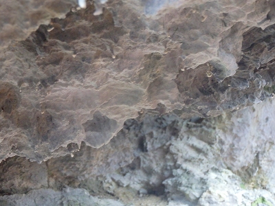 f0193521_545098.jpg