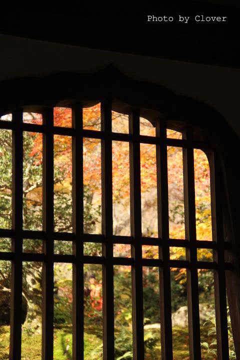 c0327528_10245849.jpg