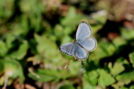 c0353632_15390722.jpg