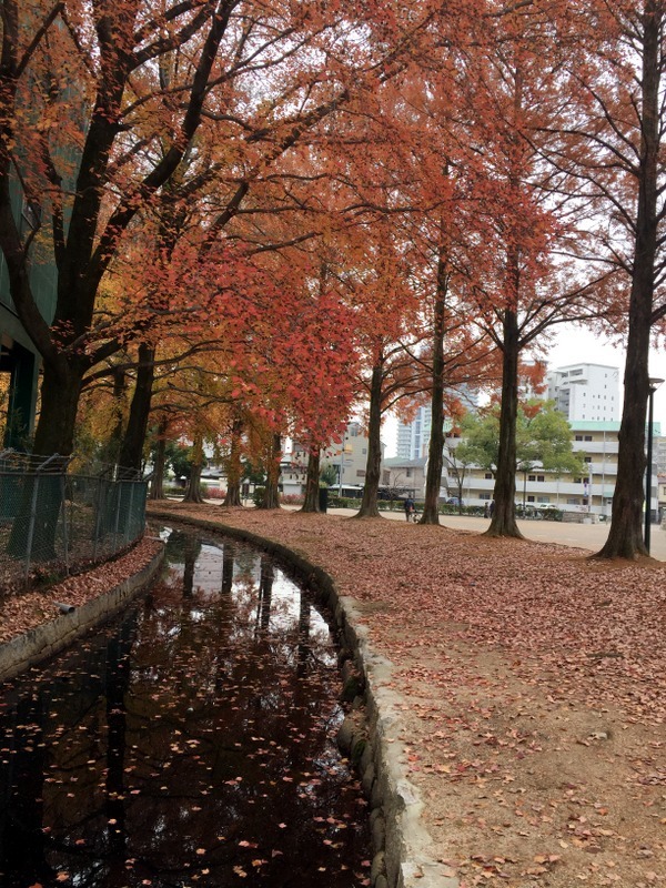 b0057140_21382927.jpg