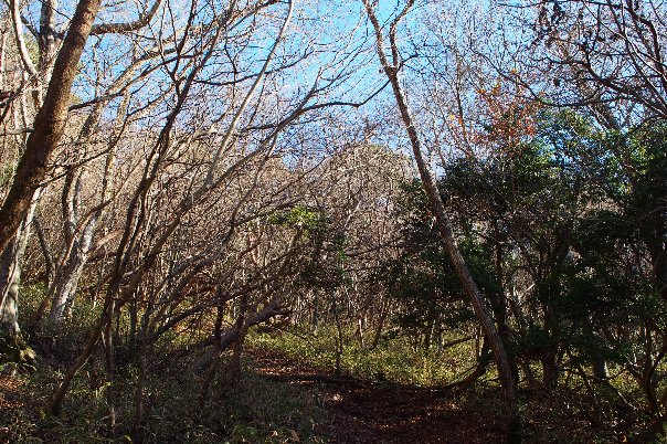 b0149340_14582830.jpg