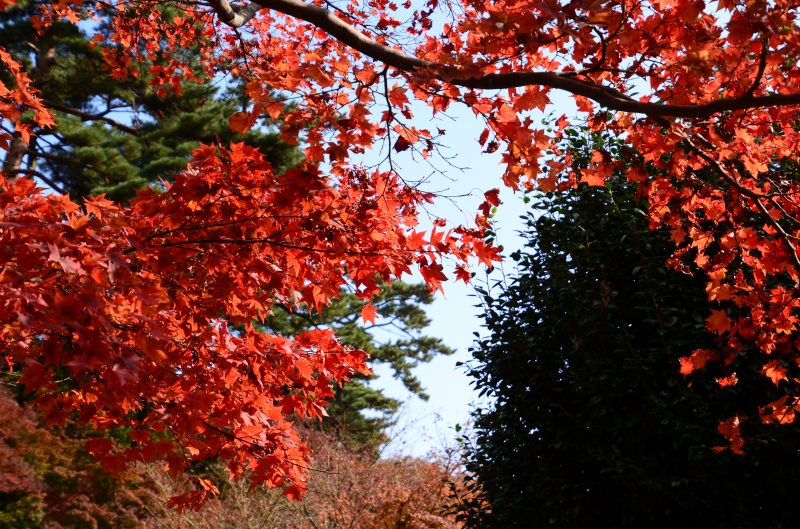 c0220040_2255556.jpg