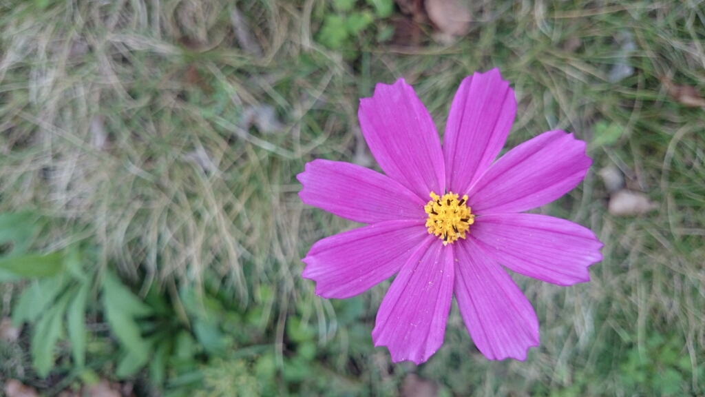 a0289641_20430540.jpg