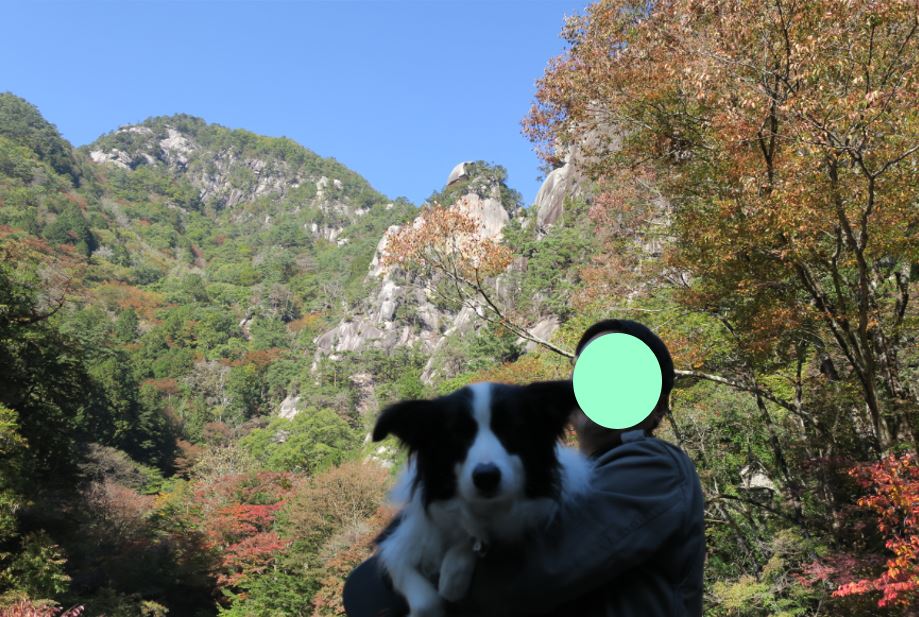 c0147241_16305954.jpg