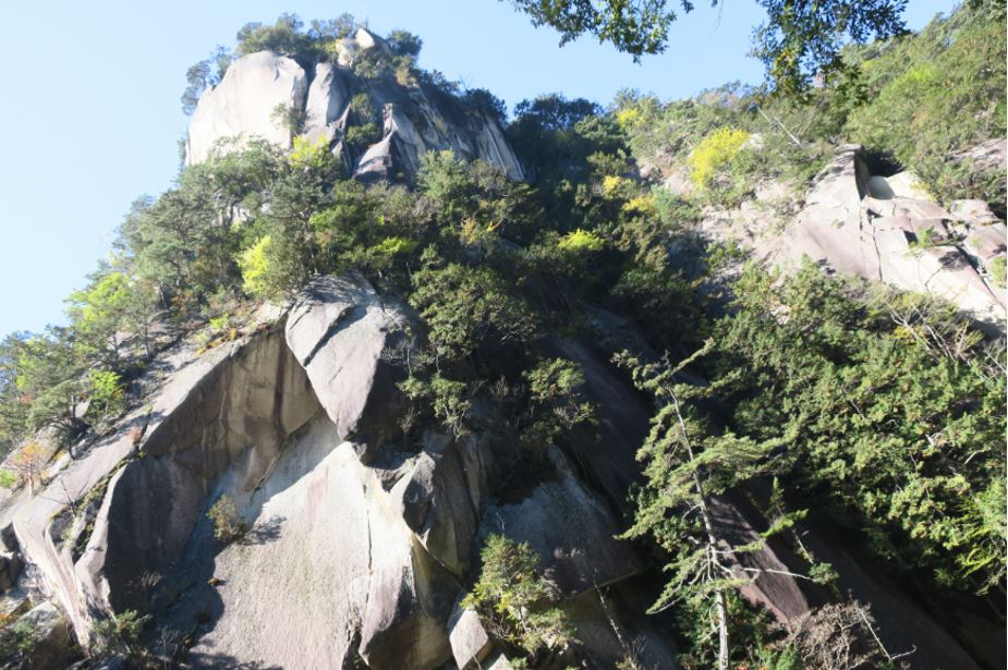 c0147241_16311166.jpg